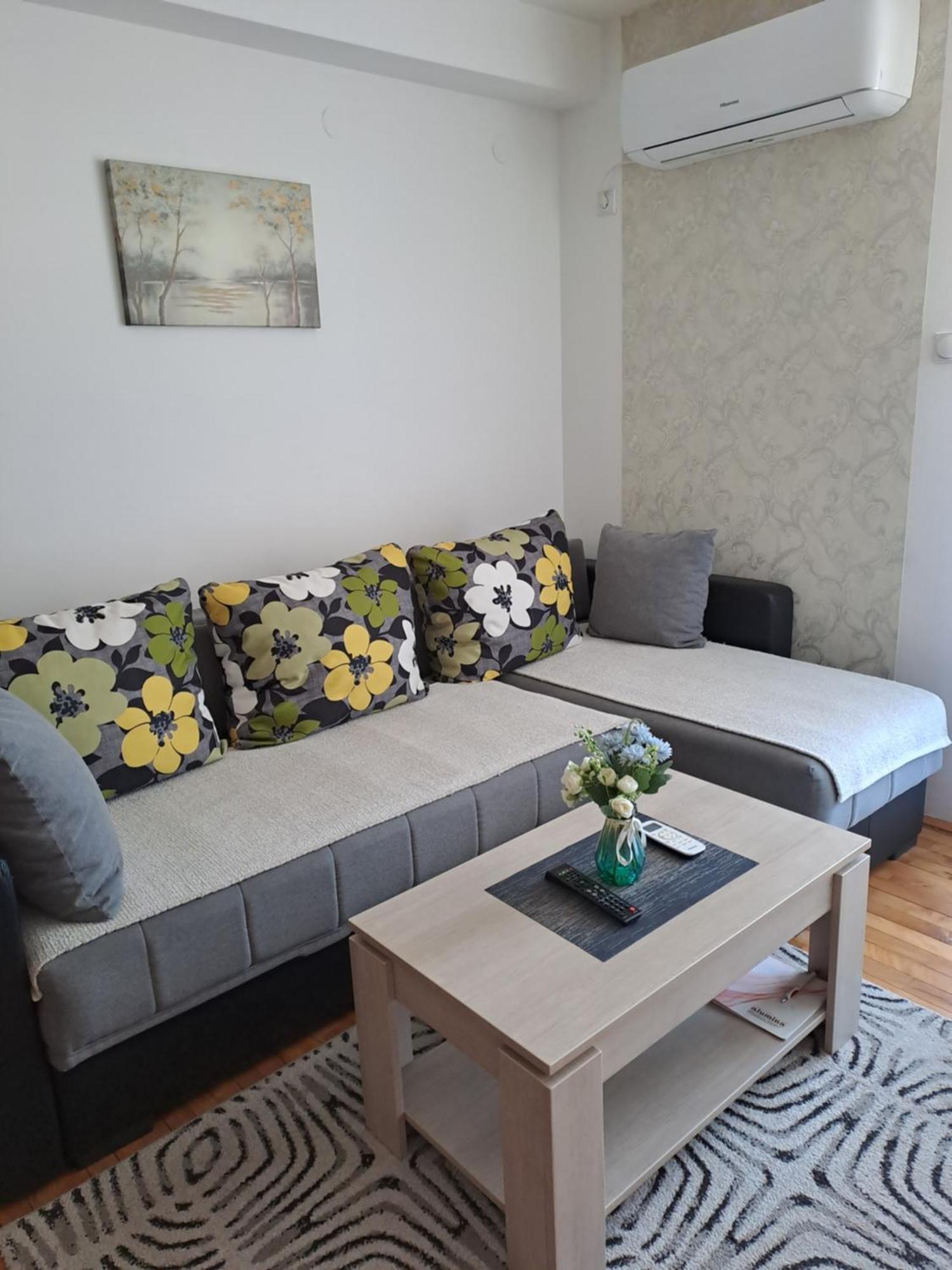 Apartman Park Ζβόρνικ Εξωτερικό φωτογραφία